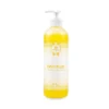 Dish Plus 500ml